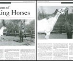 Country & Abroad July 2004 Article