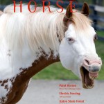 Massachusetts Horse January 2008 Cover